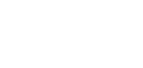 Logo Wlan